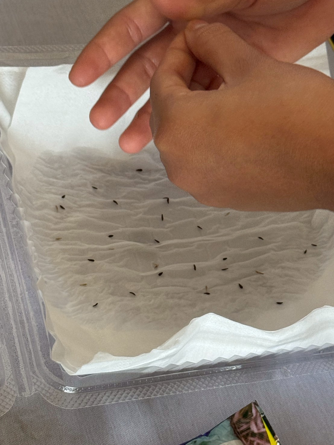 title - ส.ป.ก.จันทบุรี ดำเนินการฝึกอบรม โครงการเพิ่มศักยภาพระบบงานเกษตรภายใต้แผนพัฒนาเด็กและเยาวชนในถิ่นทุรกันดาร ตามพระราชดำริ สมเด็จพระเทพรัตนราชสุดาฯ สยามบรมราชกุมารี ประจำปีงบประมาณ พ.ศ. 2569 